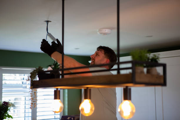 Best Electric Panel Repair  in Marion, SC